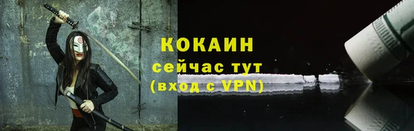 гашик Верея