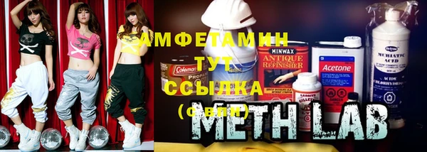 амф Верхний Тагил