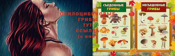 spice Белоозёрский
